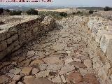 Torreparedones. Decumano mximo. 