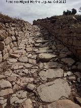 Torreparedones. Decumano mximo. Con su cloaca central