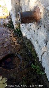 Fuente de la Alameda. Cao