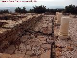 Torreparedones. Macellum. Columnas