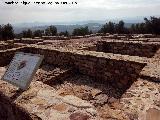 Torreparedones. Macellum. 