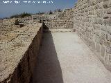 Torreparedones. Curia. Muros