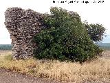 Castillo de la Aldeilla. 