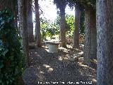 Paseo de los Adoquines. Mesa