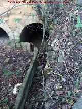 Molino del Rincn. Acequia