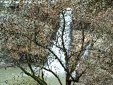 Cascada de la Cimbarra. 