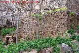 Molino de la Cimbarra. 