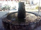Fuente de la Curva. 