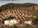 Cortijo de la Caada de la Parra. 