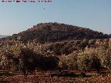 Cerro de los Lobos. 