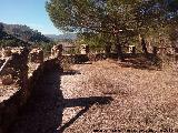 Mirador del Tobn. 