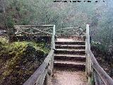 Mirador del Charco de la Pringue. 