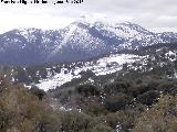 Cerro de Enmedio. 