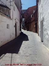 Calle rbol. 