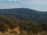 Cerro de la Estrella. 