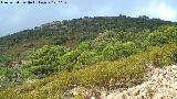 Cerro de la Estrella. 