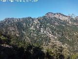 Cerro Calarejo