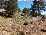 Collado de Linarejos