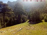 Lavadero de Pardales. Camino nivelado y lavadero