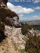 Camino de herradura de Pinar Negro