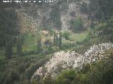 Cortijo de la Hoya de la Albarda. 