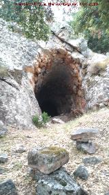 Pinturas rupestres de la Cueva de la Mina. Cueva de la Mina
