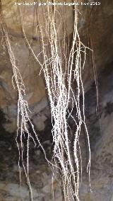 Pinturas rupestres de la Cueva de la Mina. Races buscando el agua