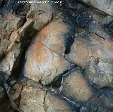 Pinturas rupestres de la Cueva de la Mina. Figura indita