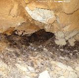Pinturas rupestres de la Cueva de la Mina. Interior de la Cueva de la Mina