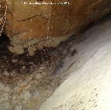Pinturas rupestres de la Cueva de la Mina. Manantial
