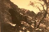 Pinturas rupestres de la Cueva de la Mina. Foto de Cabr