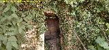 Caracol de la Fuente de la Marrana