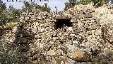 Caracol Caminero