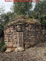 Caracol Selectivo
