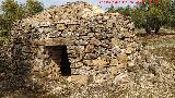 Caracol Resfriado