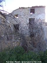 Cortijo del Santo Rostro. 