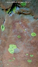 Pinturas rupestres del Arroyo del Chortal I. 