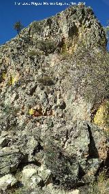 Pinturas rupestres del Cimbarrillo de Mara Antonia I. Abrigo