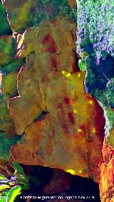 Pinturas rupestres del Cimbarrillo de Mara Antonia I. Tratada con Dstretch