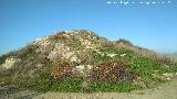 Castelln de Caviedes. 