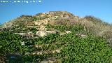 Castelln de Caviedes. 