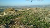 Castelln de Caviedes. Cumbre