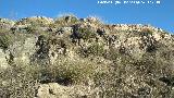Castelln de Caviedes. Muralla