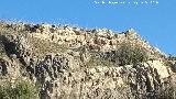 Castelln de Caviedes. Muralla