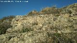 Castelln de Caviedes. Muralla