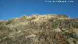 Castelln de Caviedes. Muralla