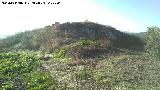 Castelln de Caviedes. 