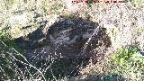 Castelln de Caviedes. Aljibe