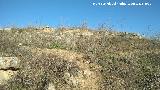 Castelln de Caviedes. 