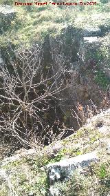 Castelln de Caviedes. Hueco con rbol